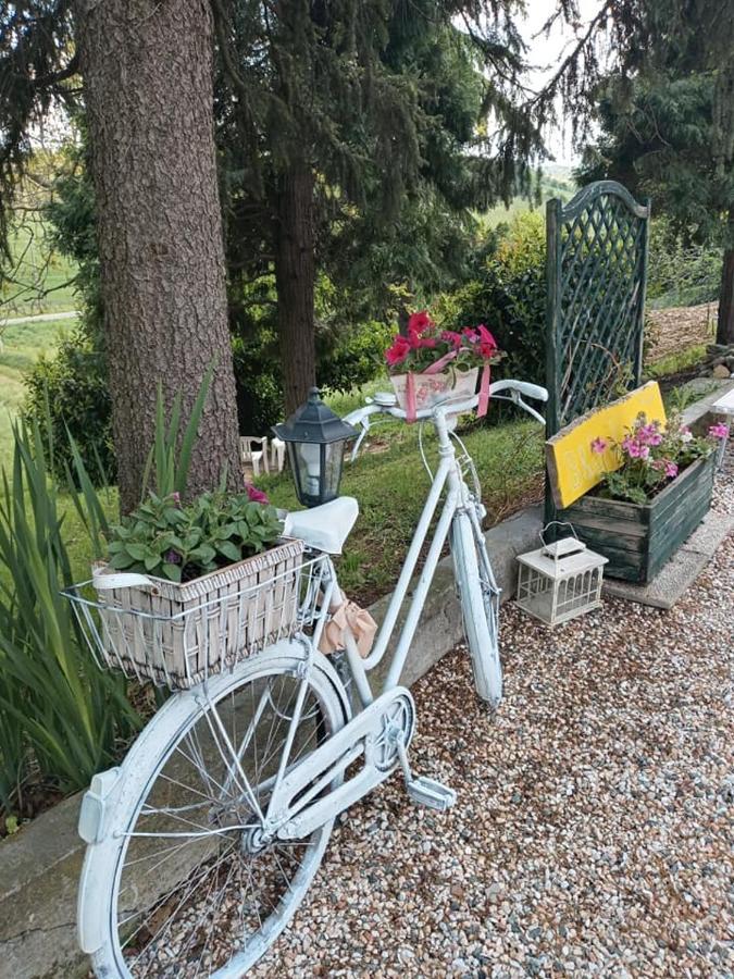 Bb Lady Acomodação com café da manhã Castelvetro di Modena Exterior foto